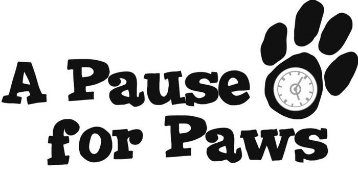 A Pause For Paws